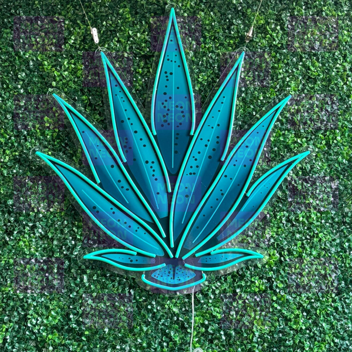Agave Plant LED Neon Sign