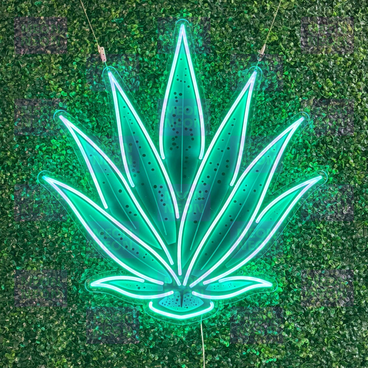 Agave Plant LED Neon Sign